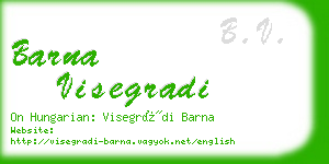 barna visegradi business card